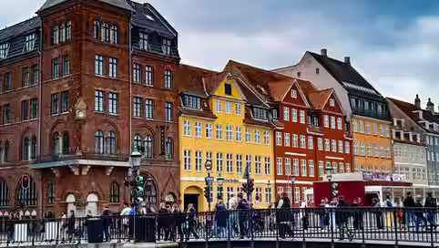 Role at Local Danish Company
