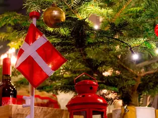 Danish Christmas Celebration (Julefrokost) RSVP