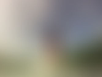 Vive Le Ply Guys ... introducing Assynt.fr