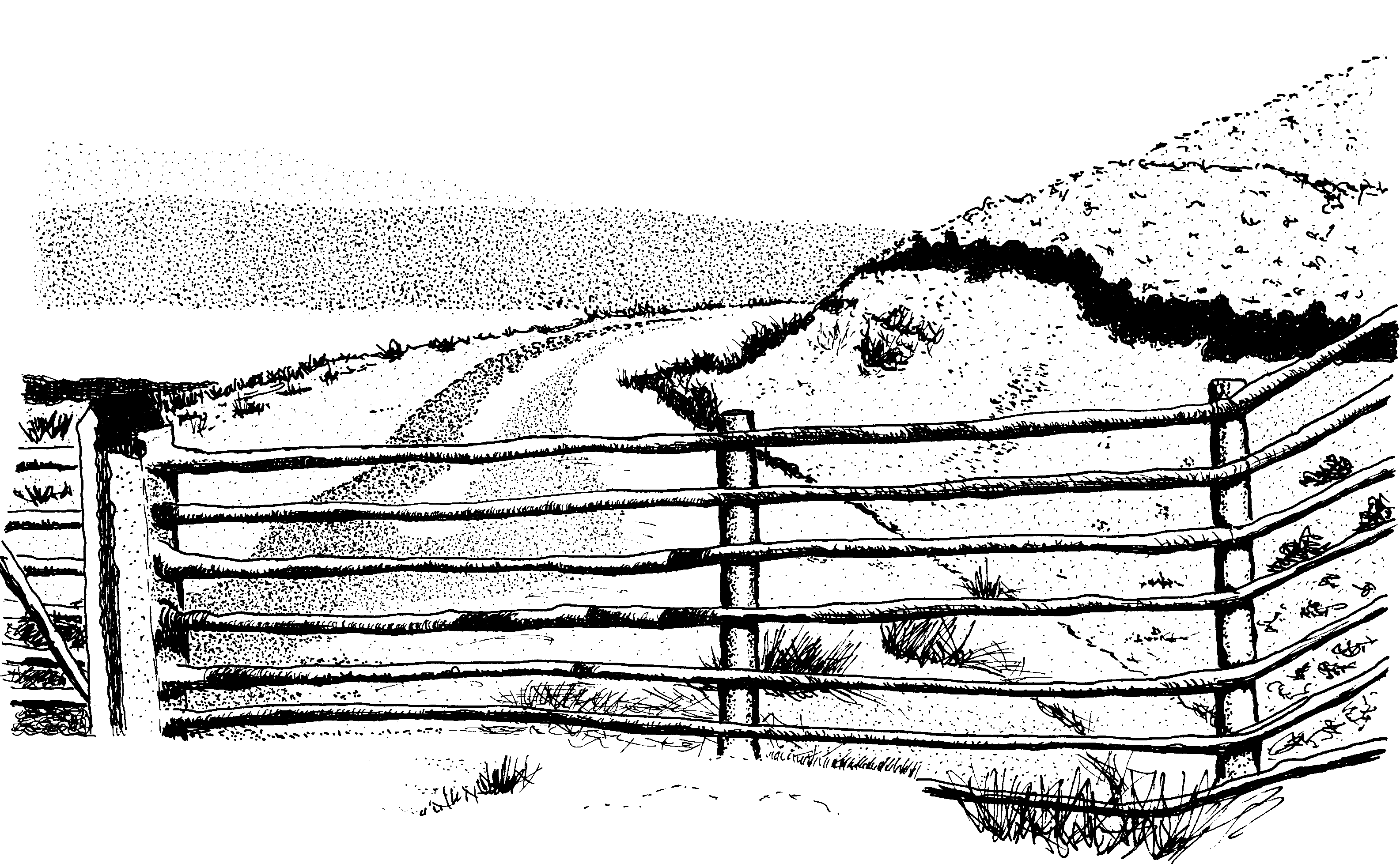 Winter fence