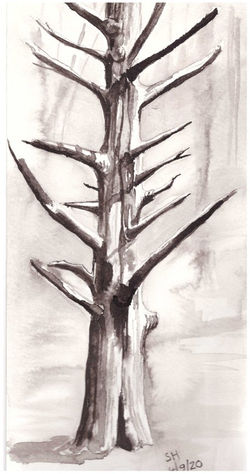 Dead tree