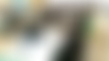 就職説明会  参加のお知らせ