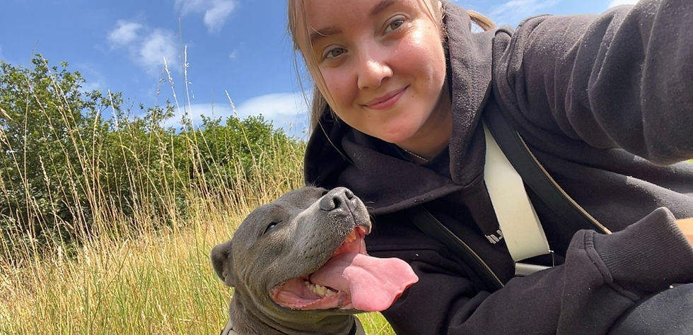 Choosing the right Dog Walker for you.