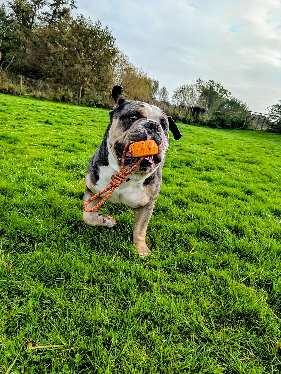 WhatsApp Image 2025-02-16 at 09.16.48 (15)