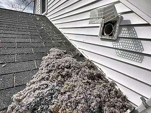 dryer roof.jpg