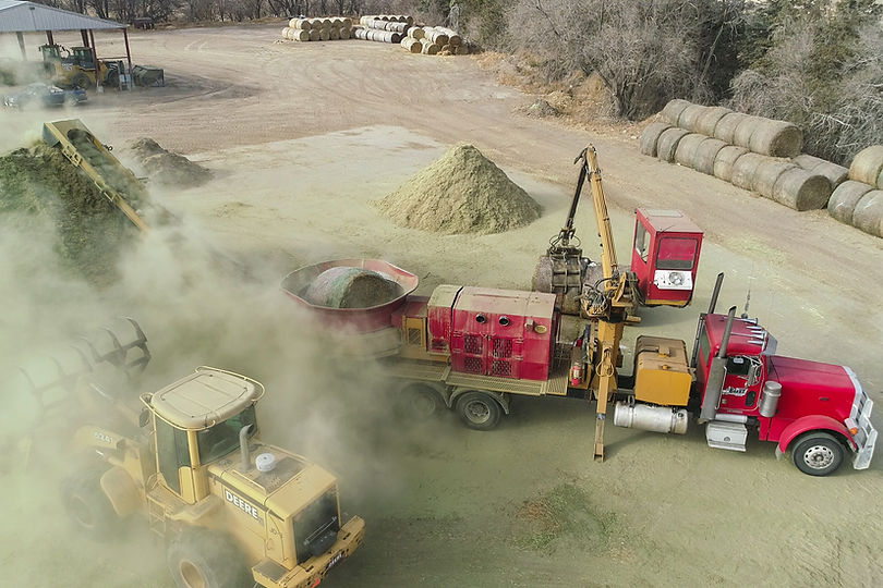 Grinding fresh alfalfa.