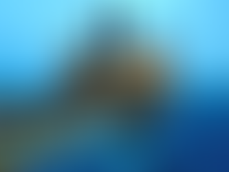 Oil Climbs as US Dollar Slumps, OPEC+ Keeps Output Cut Policy