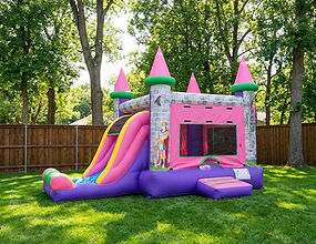 Pink Princess Castle Combo.jpg