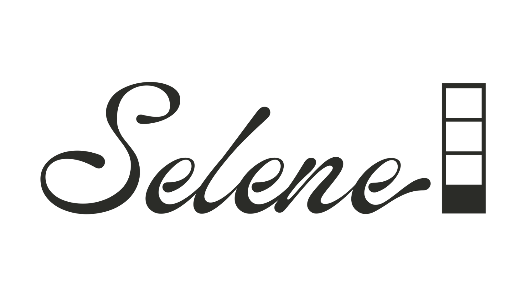 Selene Logo Jet.png