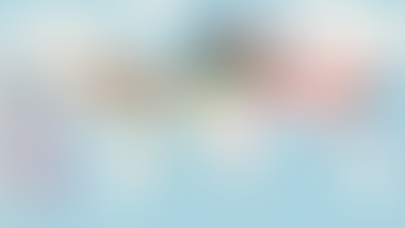 QSO Statistics for Year 2025