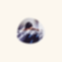 Design uden navn-15.png