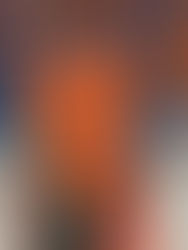 Veste haute visibilité Promelog Formation