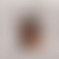 Chronique Insane Voices