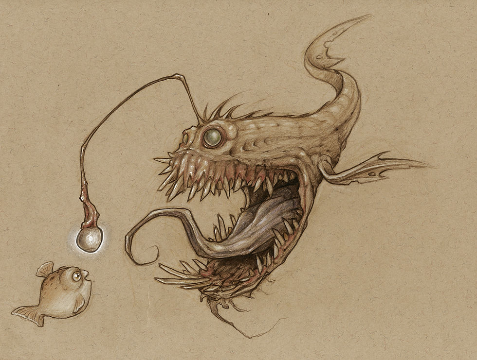 angler fish