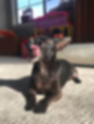 image2.jpeg