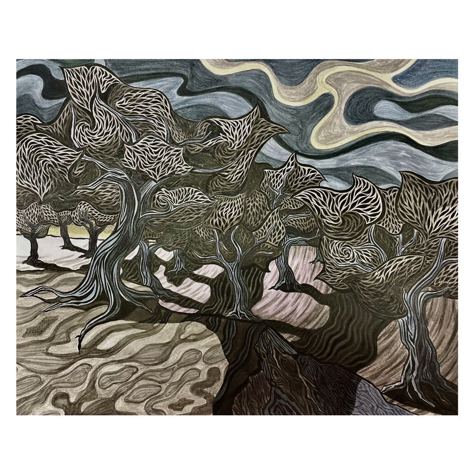 Olive Trees II