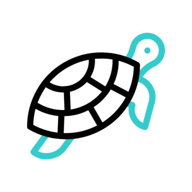 sea-turtle