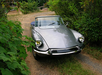 DSCN2570.jpg