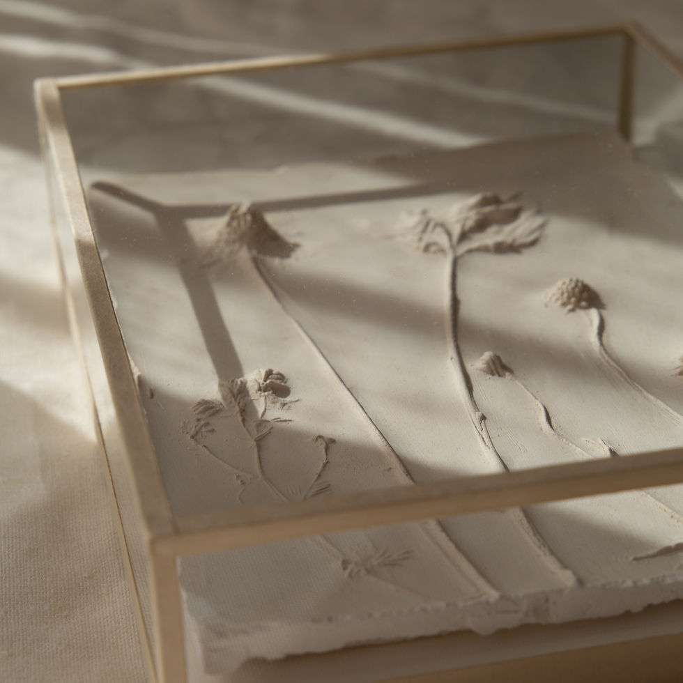 Miniatura: Piel caliza