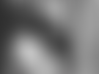 Album de Rayn Nasser - La vérité coupable