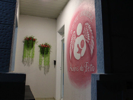 Anjos do Peito promove venda de rifa
