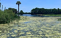 Wetlands_5.jpg