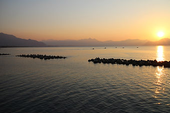 IMG_0222.JPG