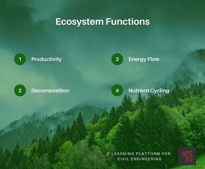 Ecosystem Functions