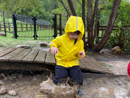 The Seasons at Raintree