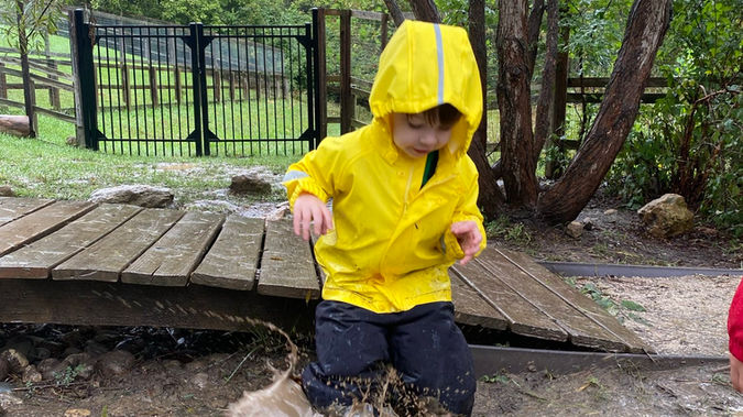 The Seasons at Raintree