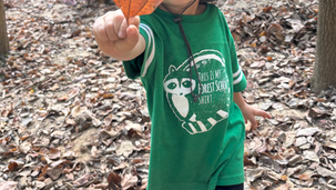 Why St. Louis Needs Nature Based Education