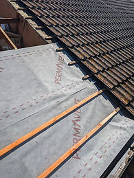 WhatsApp Image 2025-03-03 at 16.16.57_5b102436.jpg