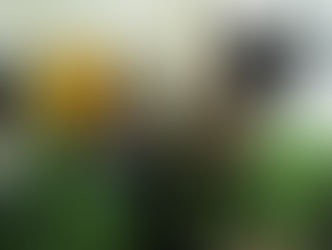 Behind The Scenes: SFIC Interview