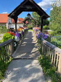 FC Fründe Mai 98 Fanclub 1. FC Köln