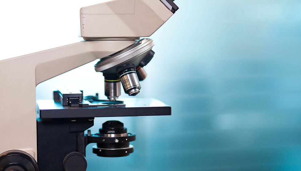 Neue Studie "Hashimoto und Darmgesundheit"