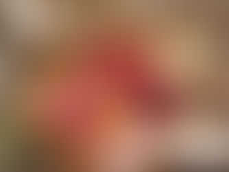 Selen – das neue Wundermittel der Hashimoto-Behandlung?