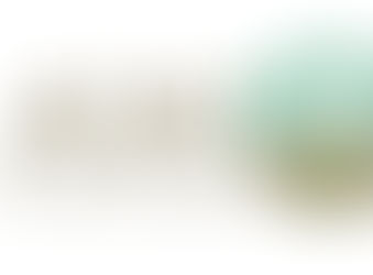 Shared Insights from AAWOL Sisters