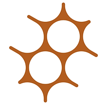 Performance Kote Logo