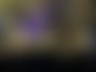 1ère nocturne estivale du Parc animalier de Gramat