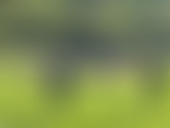 Transhumance Rocamadour-Luzech