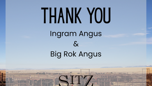 Thank you to Ingram Angus