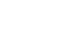 BEST DIRECTOR - First Cut Film Festival - 2015 (1).png