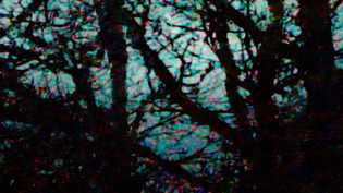 Nocturnal Synthesis Still 04.jpg