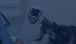Termografía infrarroja para uso veterinario
