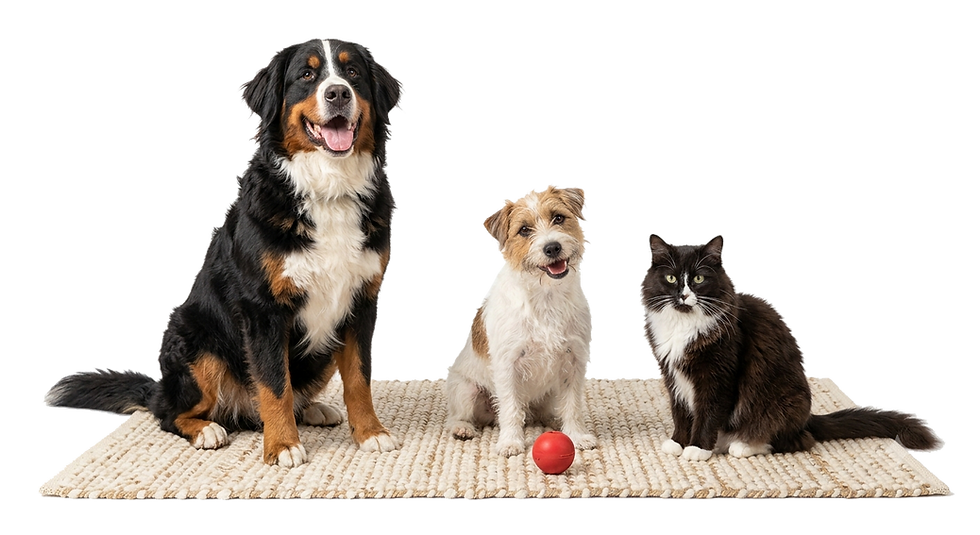 pet parents pets on rug.png