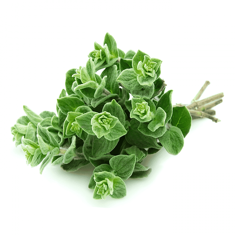 zaatar_image.png