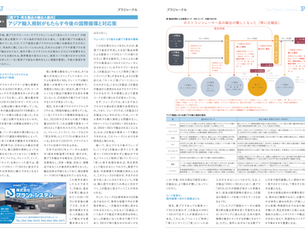 プラジャーナルに「資源プラ輸出HS 3フェーズ表」が紹介されました