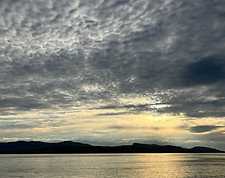 IMG_2321.jpeg
