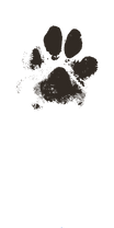 pngfuel.com (4).png