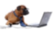 pngfuel.com (9).png